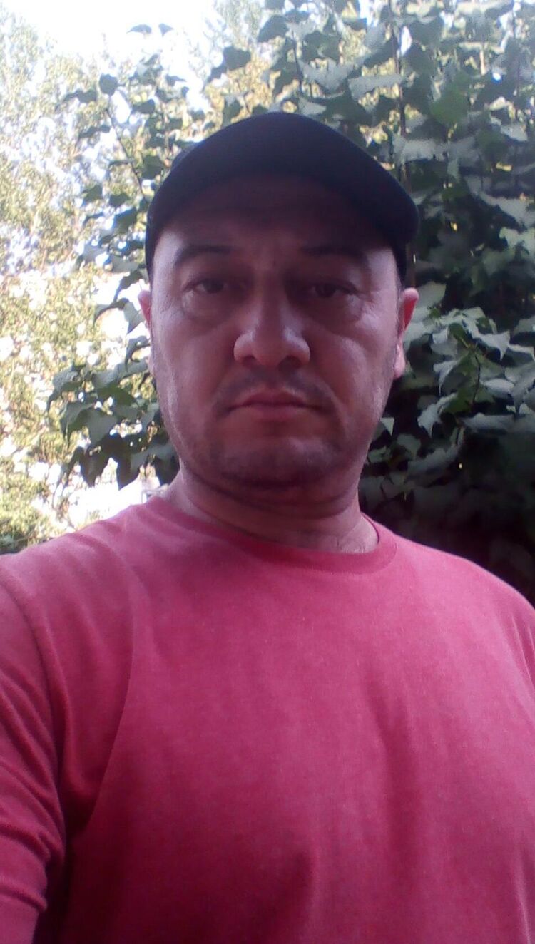  48046674  , 50 ,    