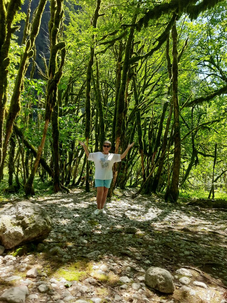 ���� 54168464 ������� �������, 55 ���, ���� ���������� � ������-���������