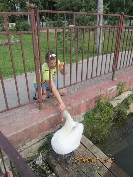 ���������� ������ ��������, ���� ������� ����, 33 ����, ������������ ��� ������, ����� � ���������, c�������� ���������