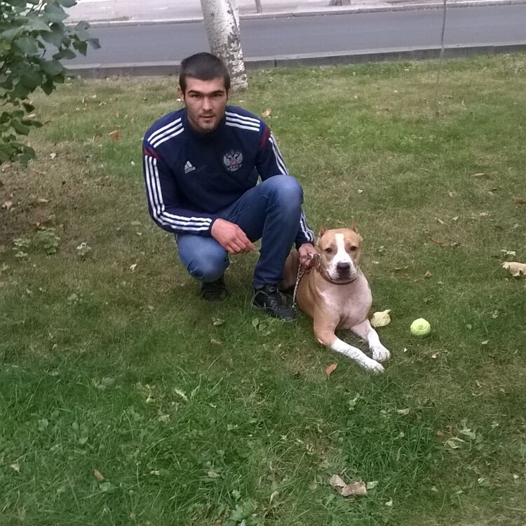 ���� 8226164 ������� ����, 31 ���, ���� ���������� � ����������