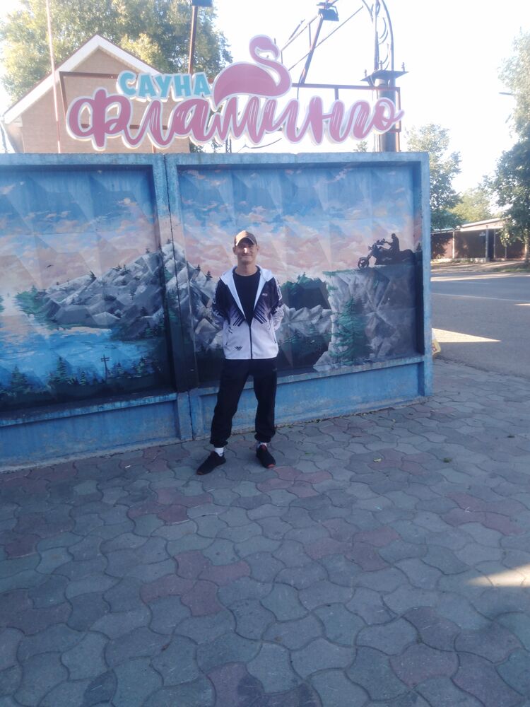  29554304  , 37 ,    