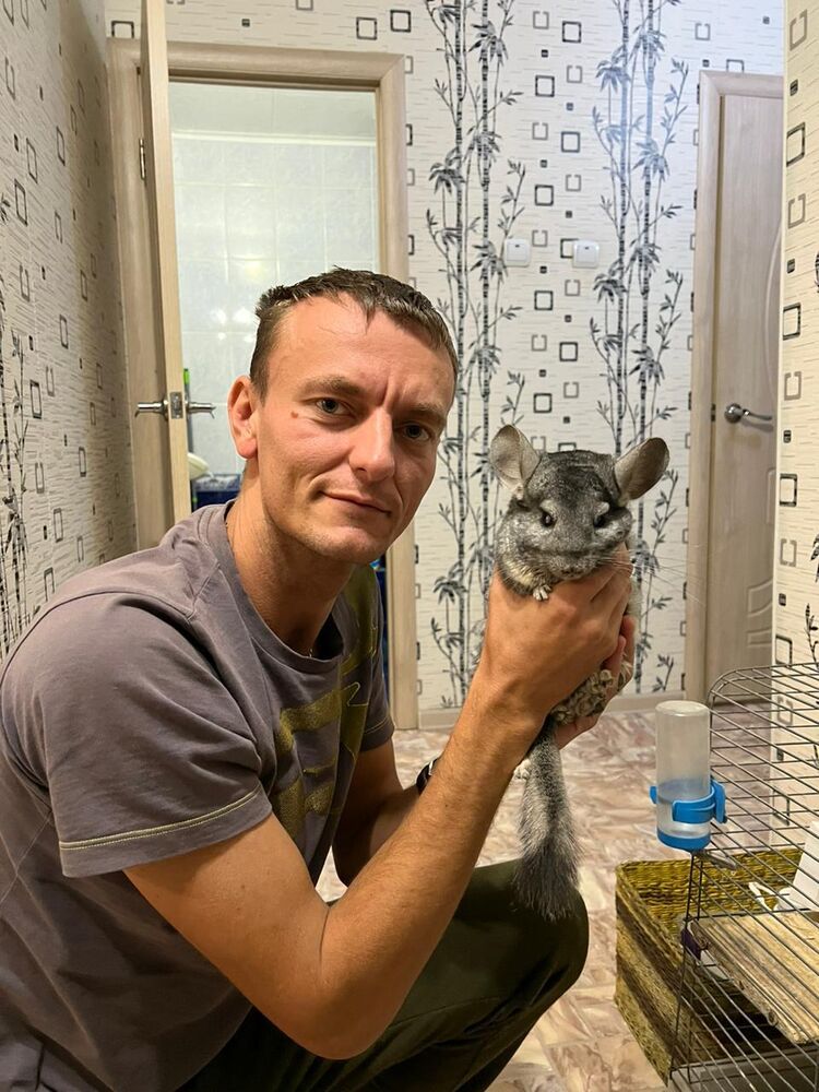  29353204  Dmitry, 36 ,    