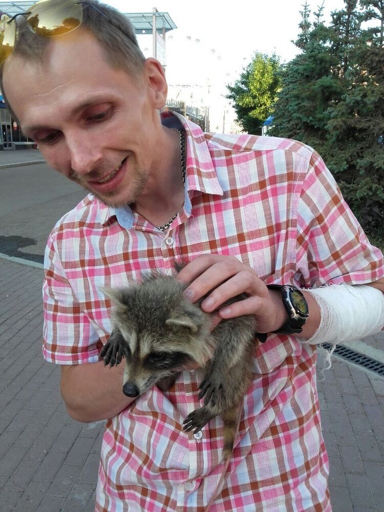 ���� 10705804 ������� Kos, 43 ����, ���� ���������� � ���