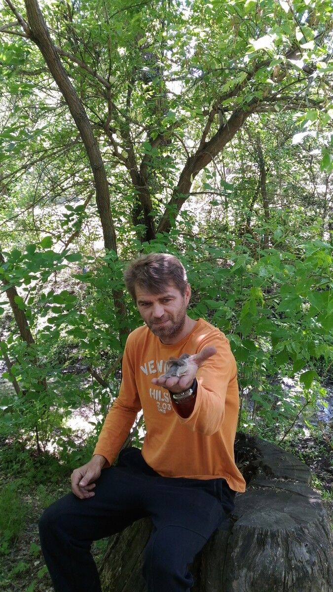 ���� 12176494 ������� ������, 50 ���, ���� ���������� � ����������