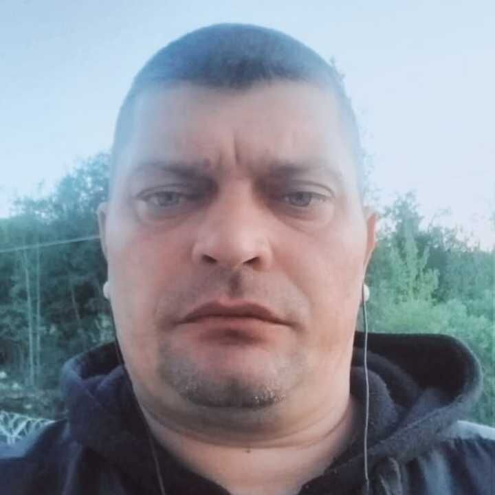  24181464  , 44 ,    