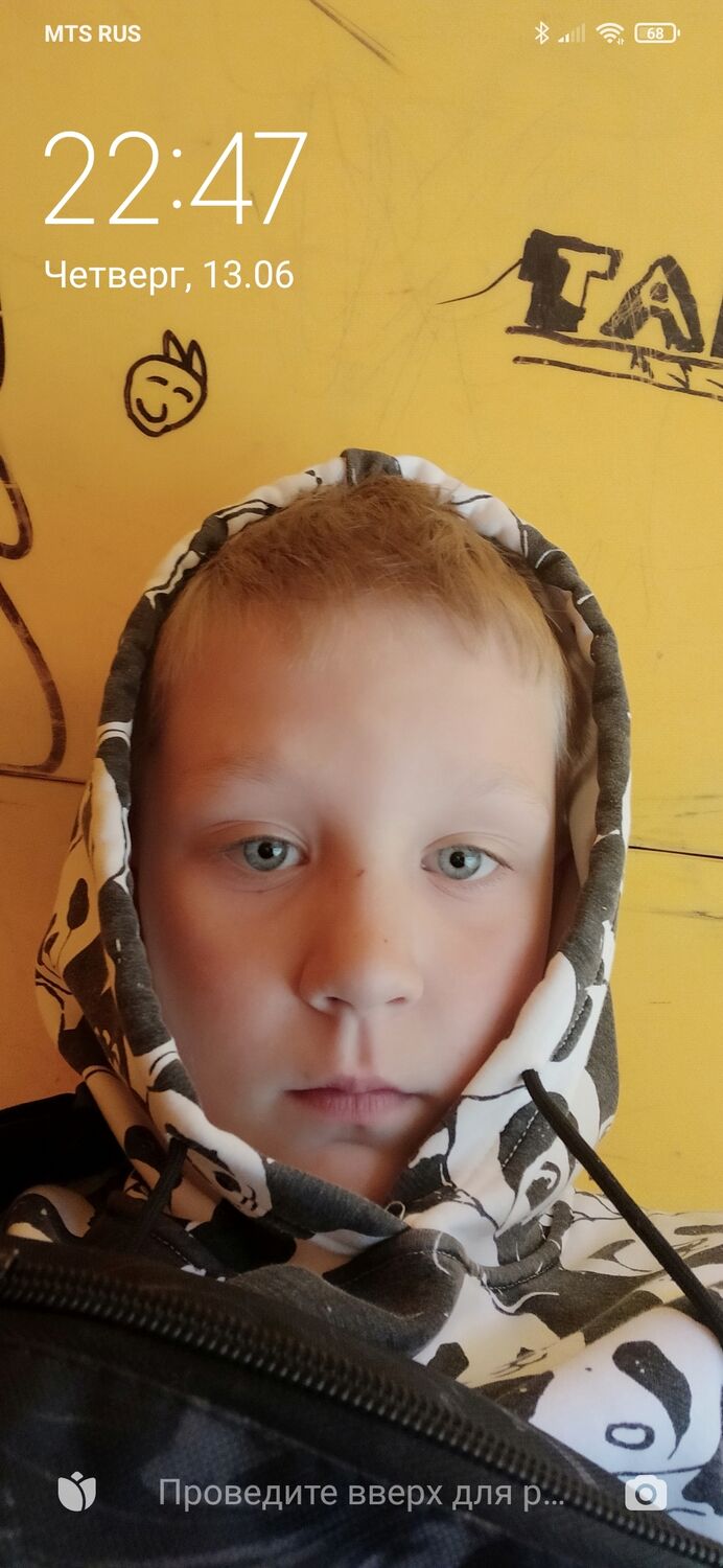  44018584  , 32 ,    -