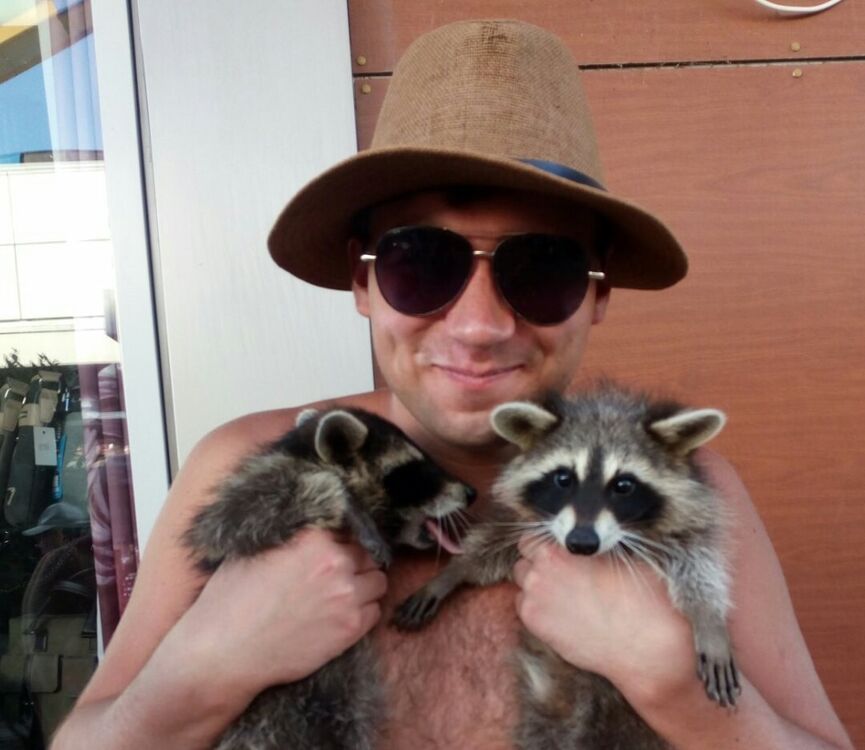 ���� 17473864 ������� ������, 29 ���, ���� ���������� � ��������