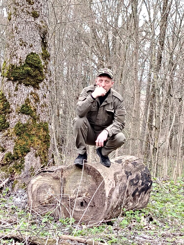 ���� 54590794 ������� ��������, 48 ���, ���� ���������� � �������