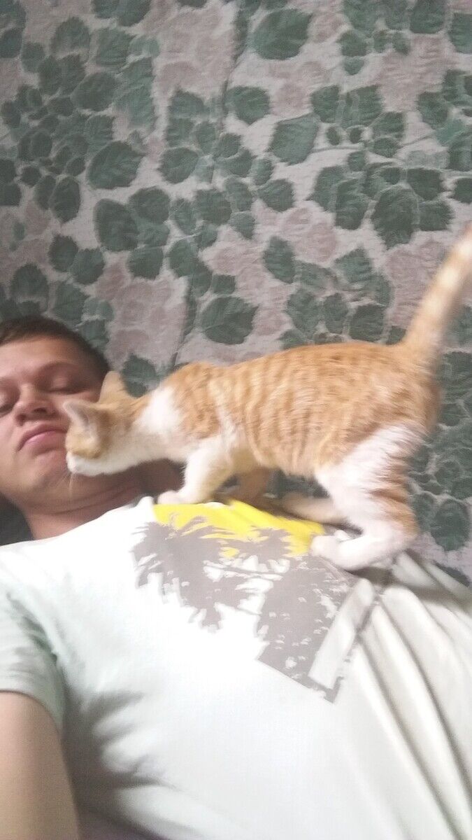  -,   , 29 ,   ,   , c 