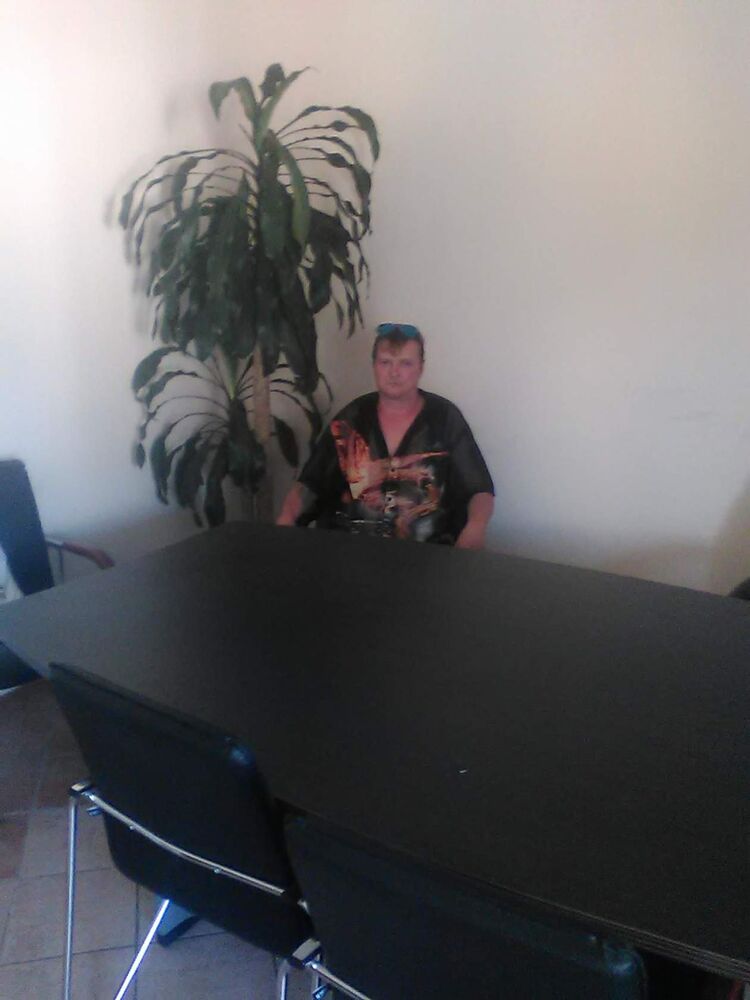 ���� 55627004 ������� ����, 50 ���, ���� ���������� � ����������