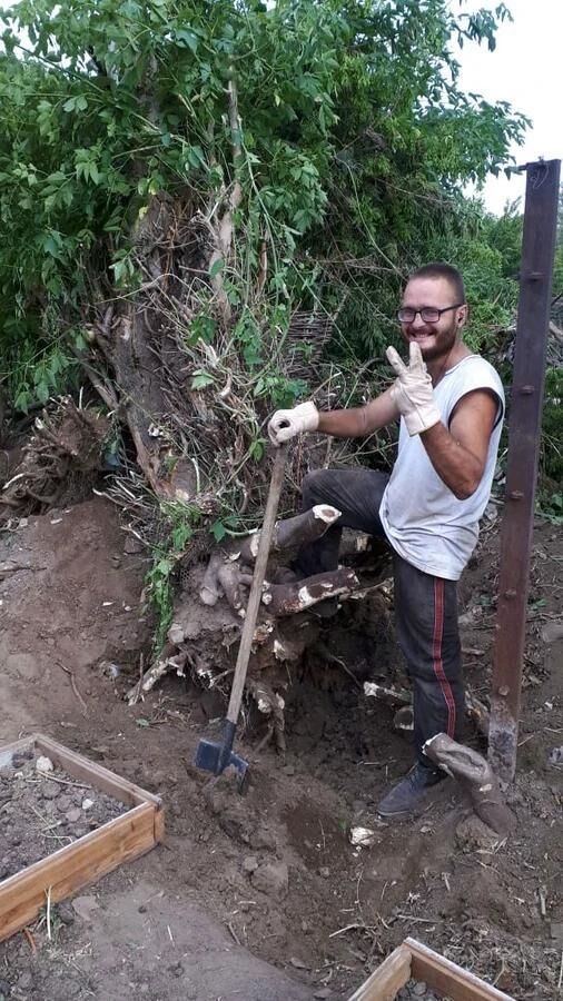  ,   Maxim, 37 ,   c 