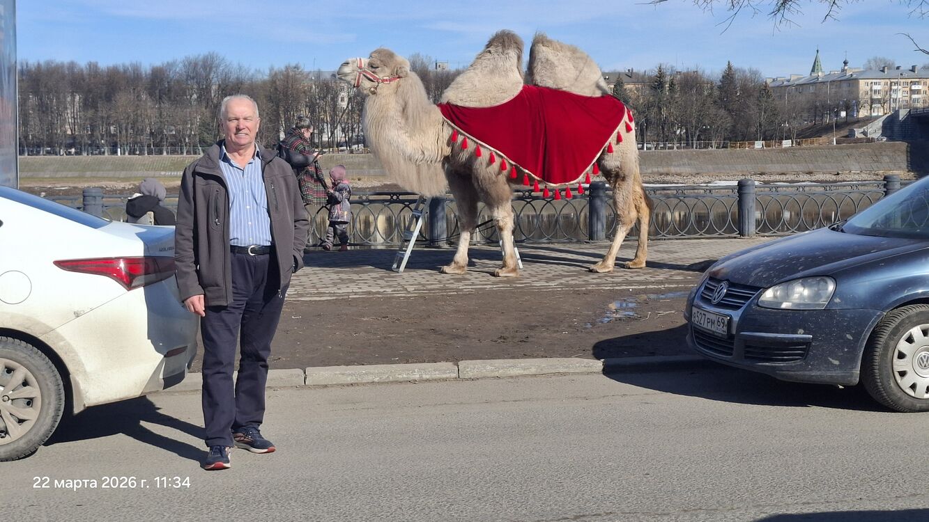 ���������� ������, ���� ������� ����, 75 ���, ������������ ��� c�������� ���������