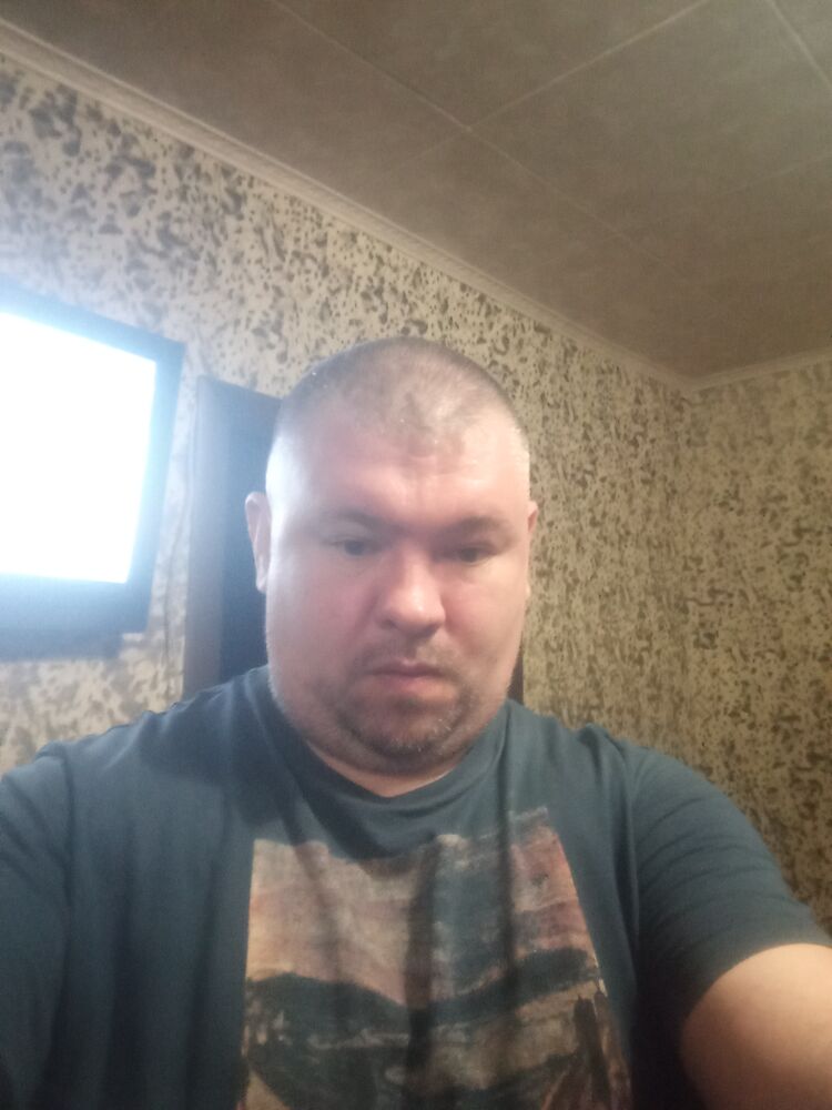  53911754  , 43 ,    