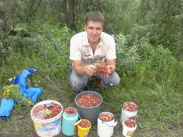 ���� 11175294 ������� �������, 41 ���, ���� ���������� � ������������