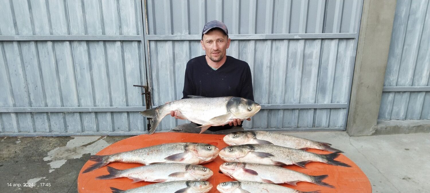 ���� 44169344 ������� �������, 47 ���, ���� ���������� � ������