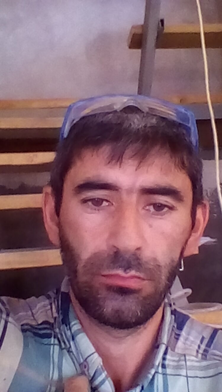 ���� 23582334 ������� �������, 46 ���, ���� ���������� � ��������