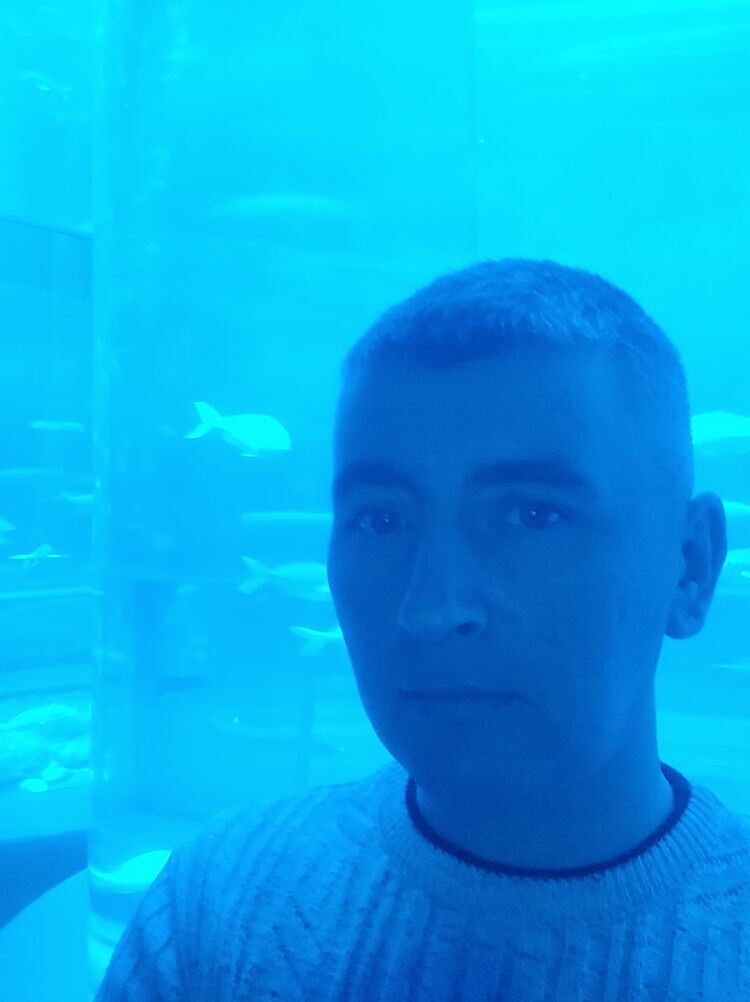  40030754  , 44 ,    -
