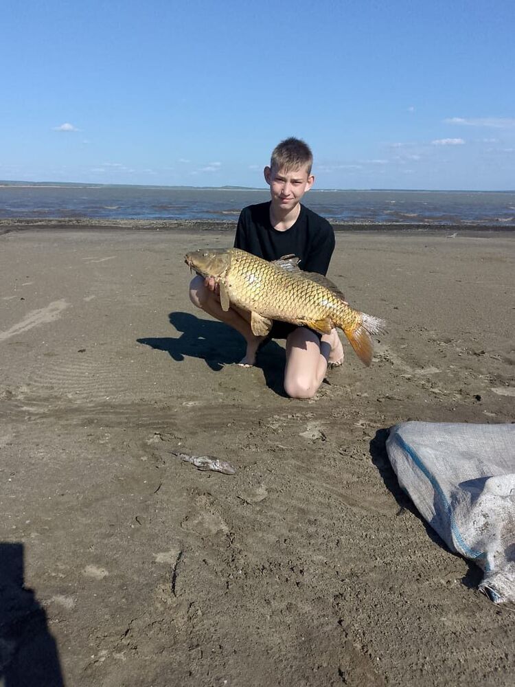 ���������� ������, ���� ������� ��������, 52 ����, ������������ ��� ������, ����� � ���������