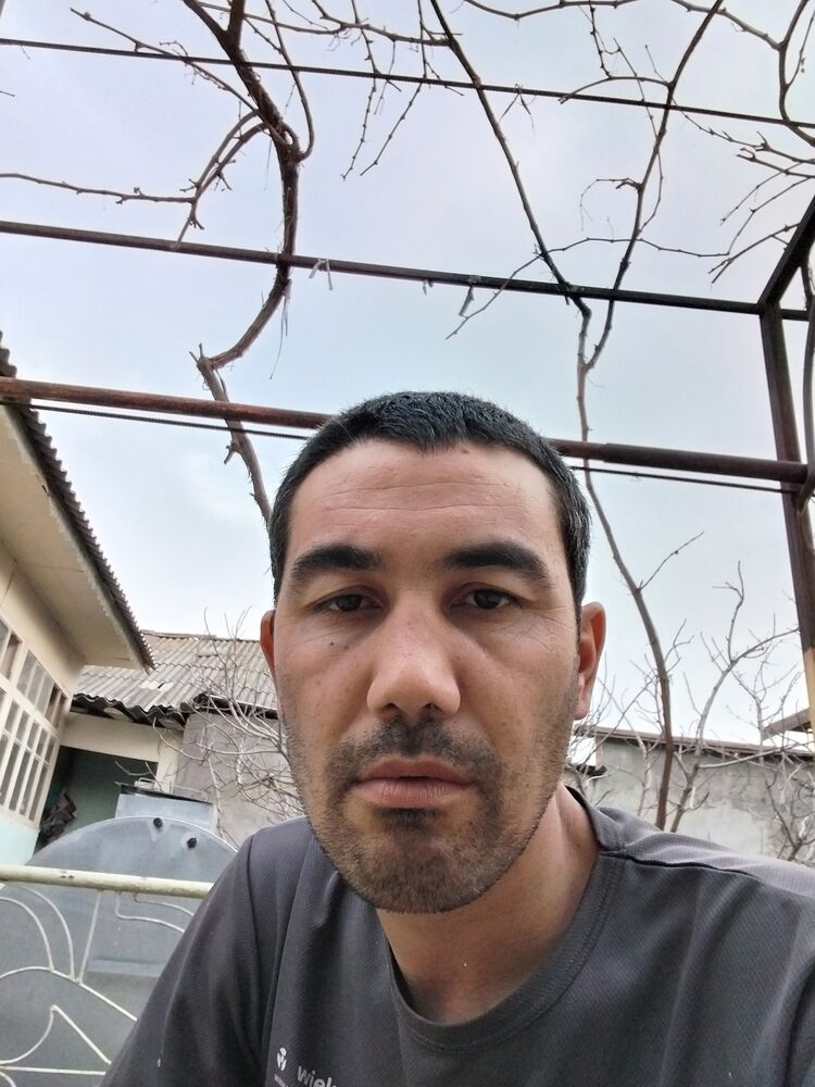  33939754  , 35 ,    