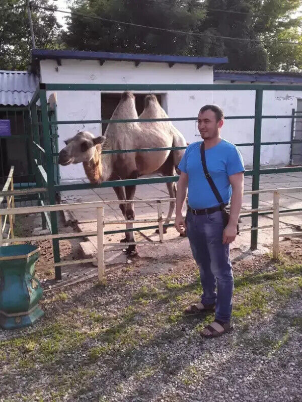 ���� 20473154 ������� ����, 33 ����, ���� ���������� � �����������