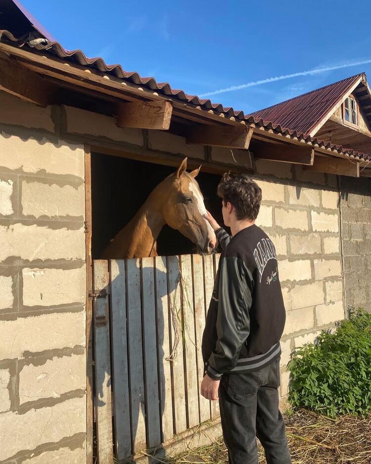  37127224  , 22 ,    -