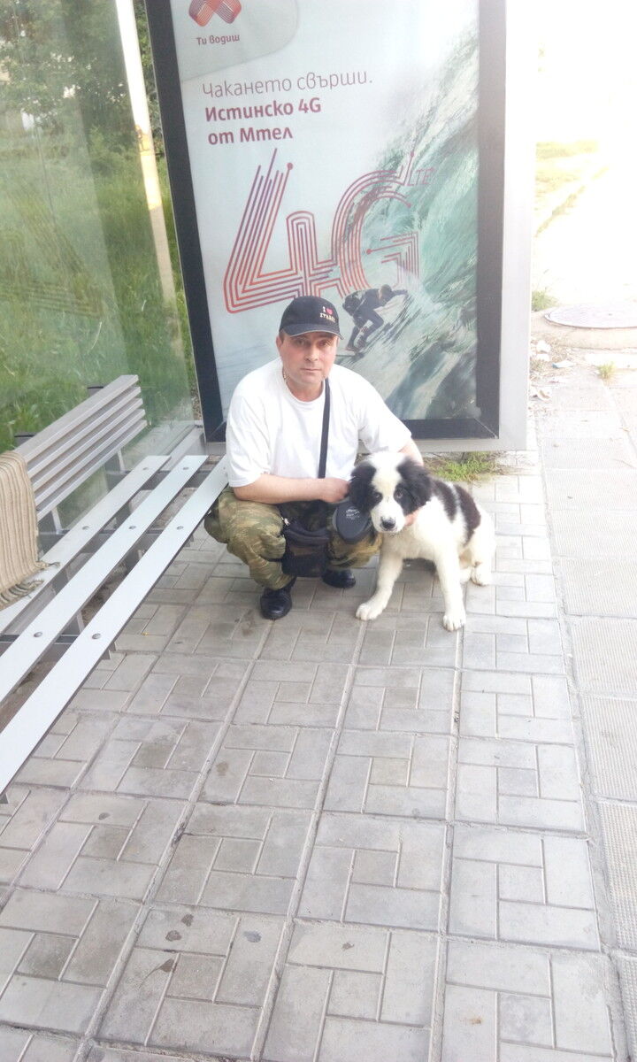  ,   Krasimir, 54 ,   ,   , c 