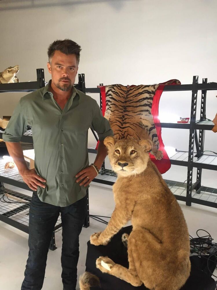  Ascot Vale,   Josh Duhamel, 45 ,   ,   