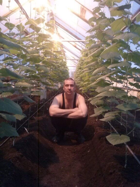 ���� 8409184 ������� �������, 47 ���, ���� ���������� � ���������