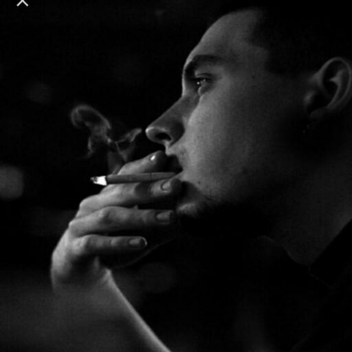 ���� 36018384 ������� ����, 32 ����, ���� ���������� � �������������