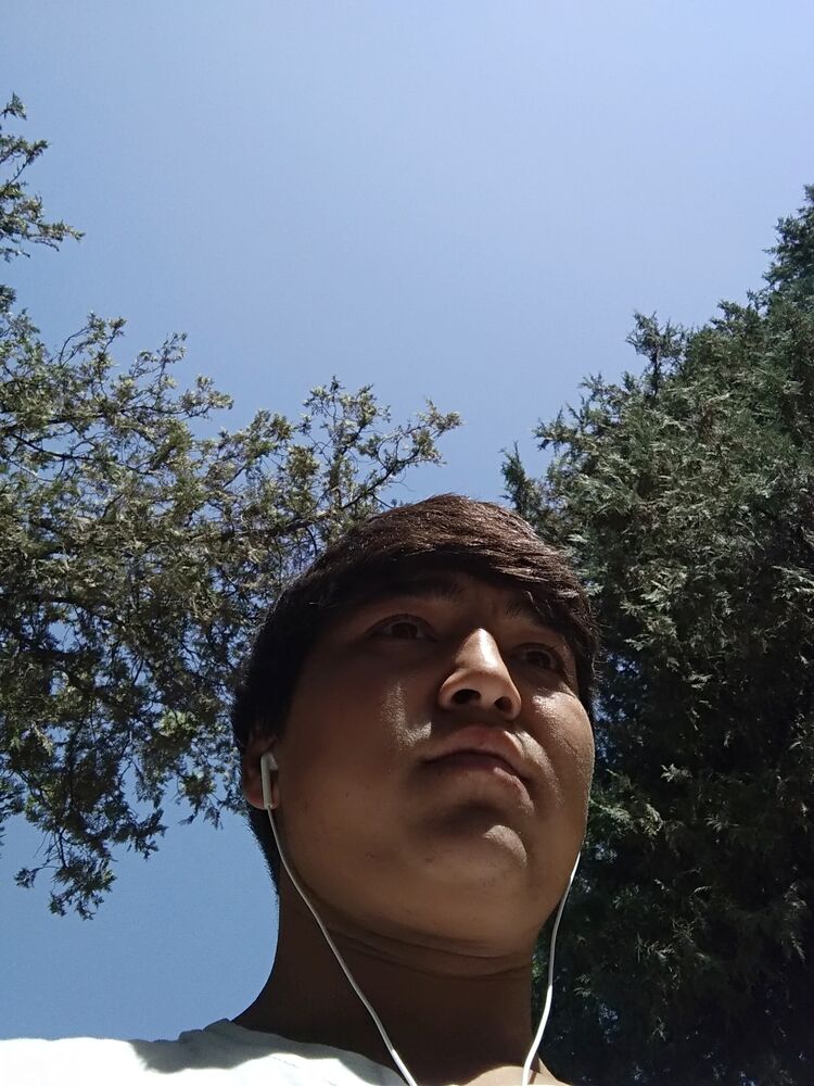  23855664  Said, 24 ,    