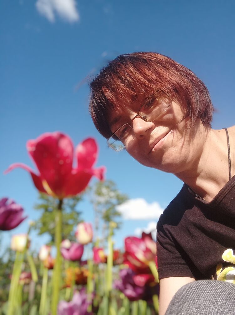  ,   , 44 ,   