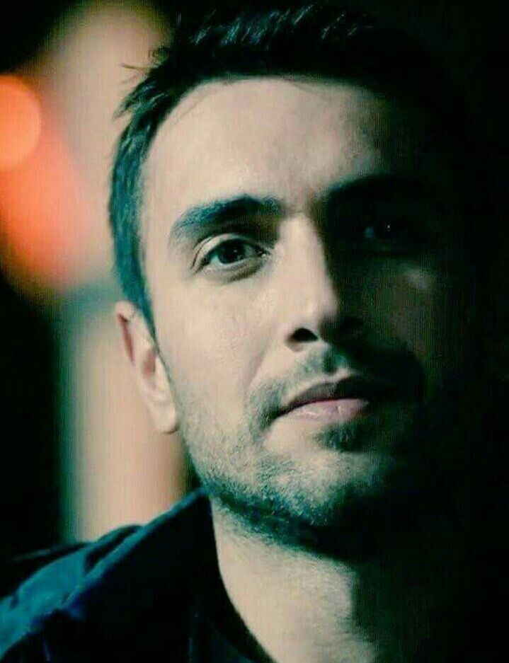 ���� 22115144 ������� �����, 44 ����, ���� ���������� � �����