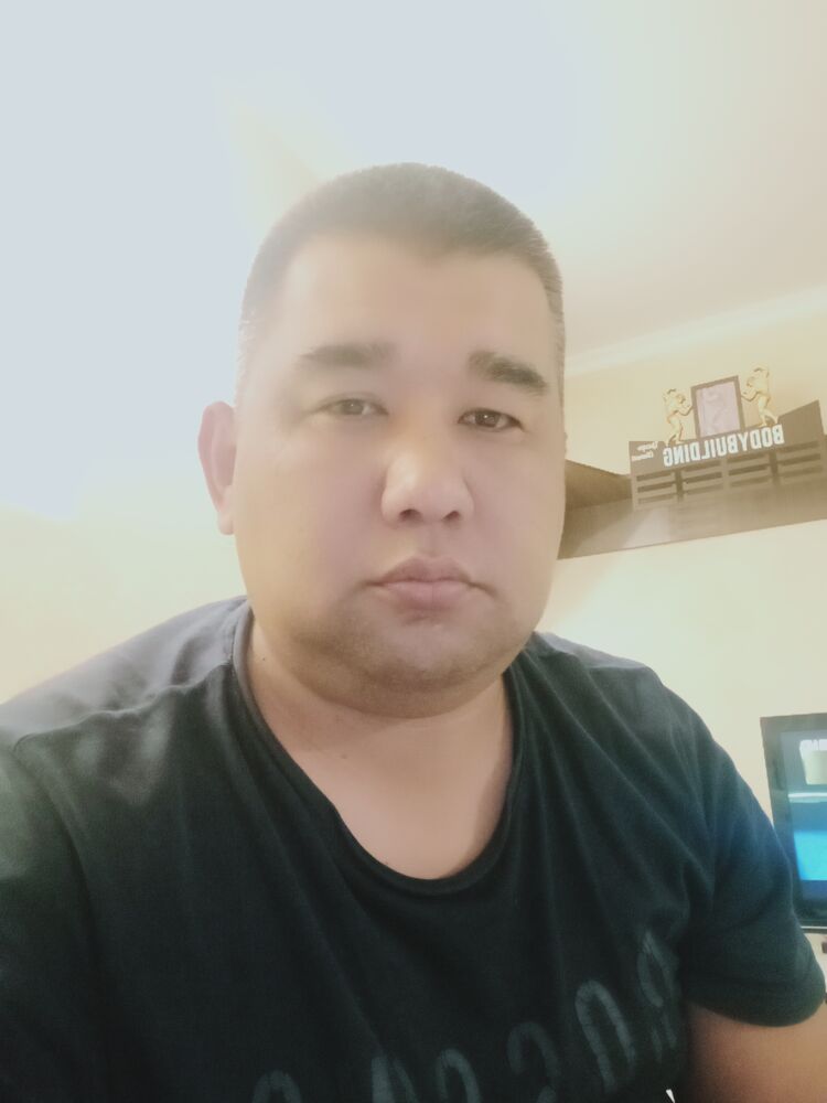  22824054  , 39 ,    