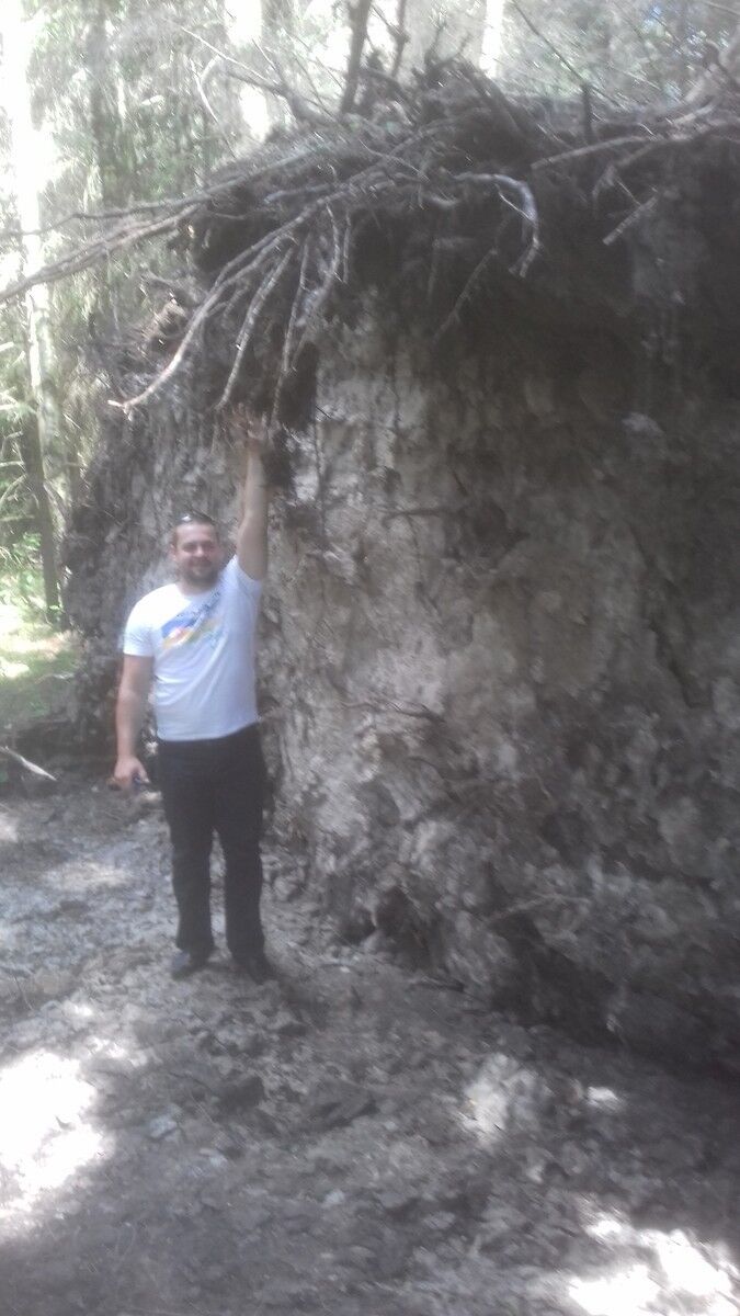  ,   Banderas, 39 ,   