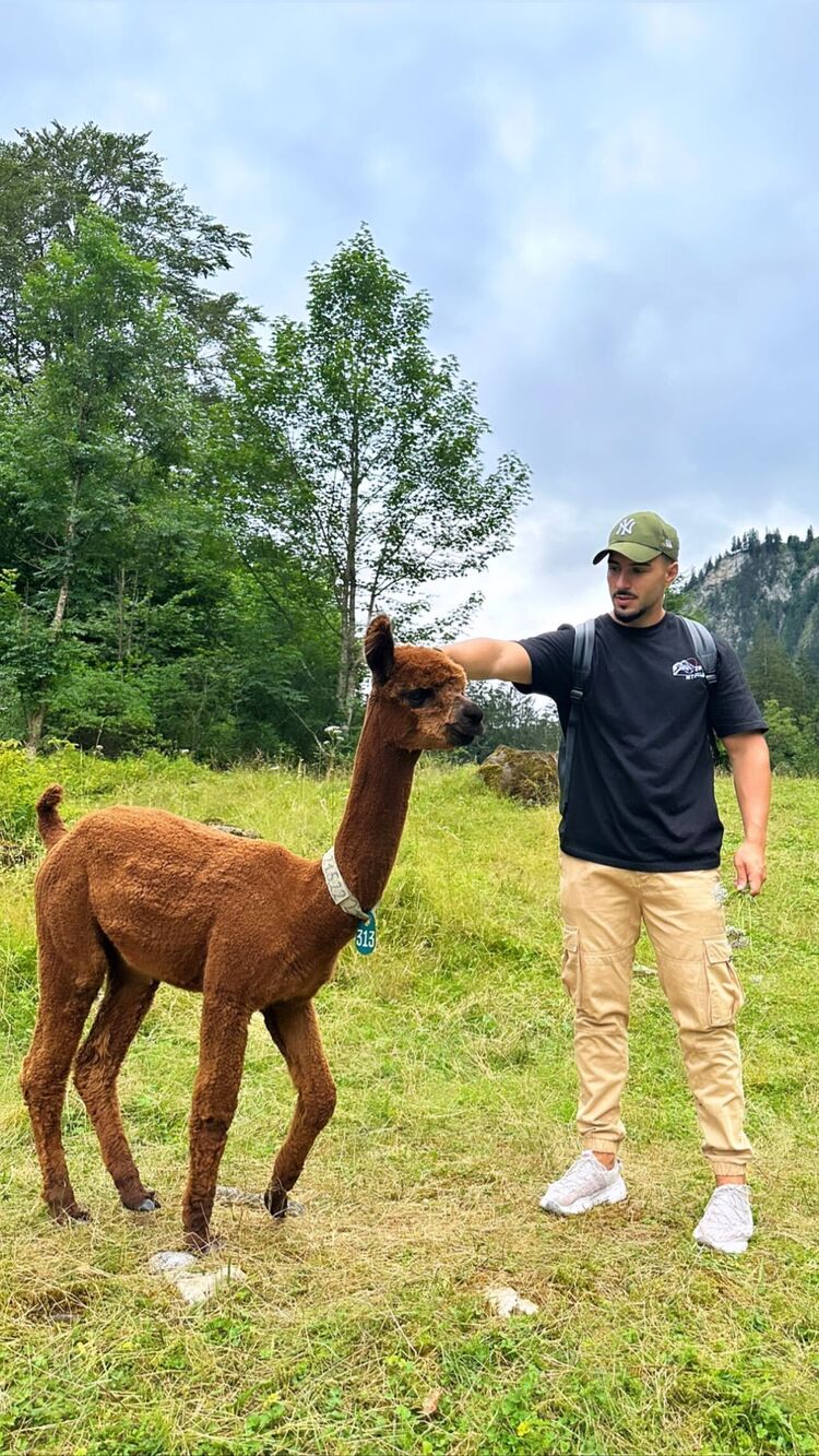 ���������� ������, ���� ������� �����, 33 ����, ������������ ��� ������, ����� � ���������