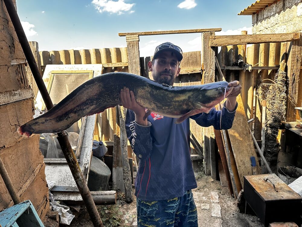 ���������� ������, ���� ������� ������, 43 ����, ������������ ��� ����� � ���������, c�������� ���������