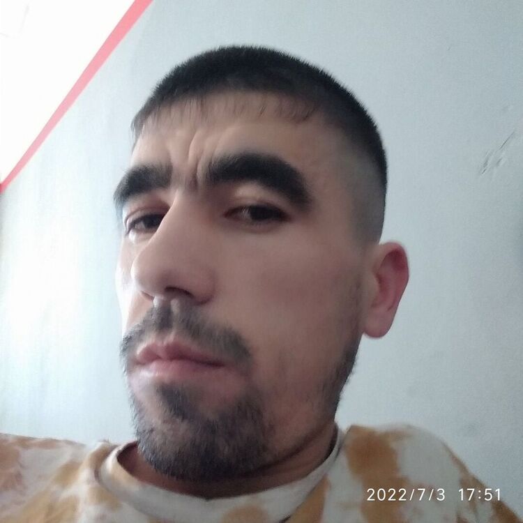  ,   Dima, 31 ,     , c 