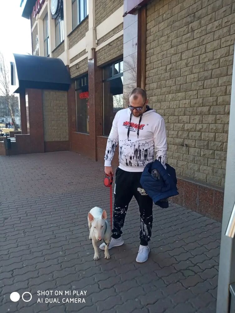 ���������� ��������, ���� ������� Sergey, 36 ���, ������������ ��� ����� � ���������, c�������� ���������, ���������