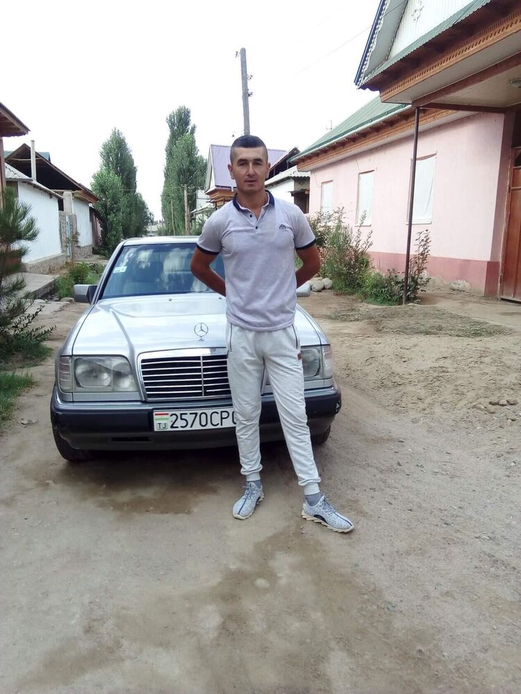  29555534   , 31 ,    