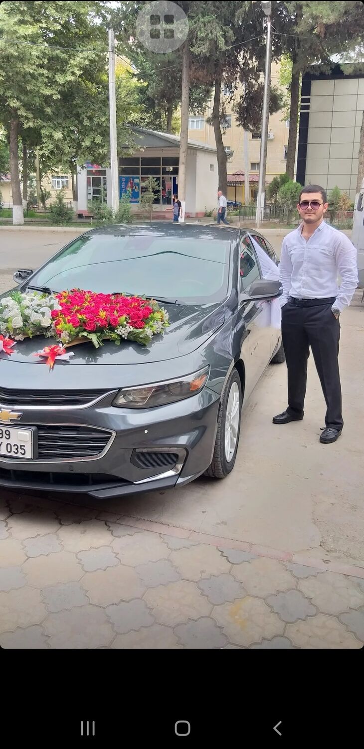  36904264  Eltun, 30 ,    