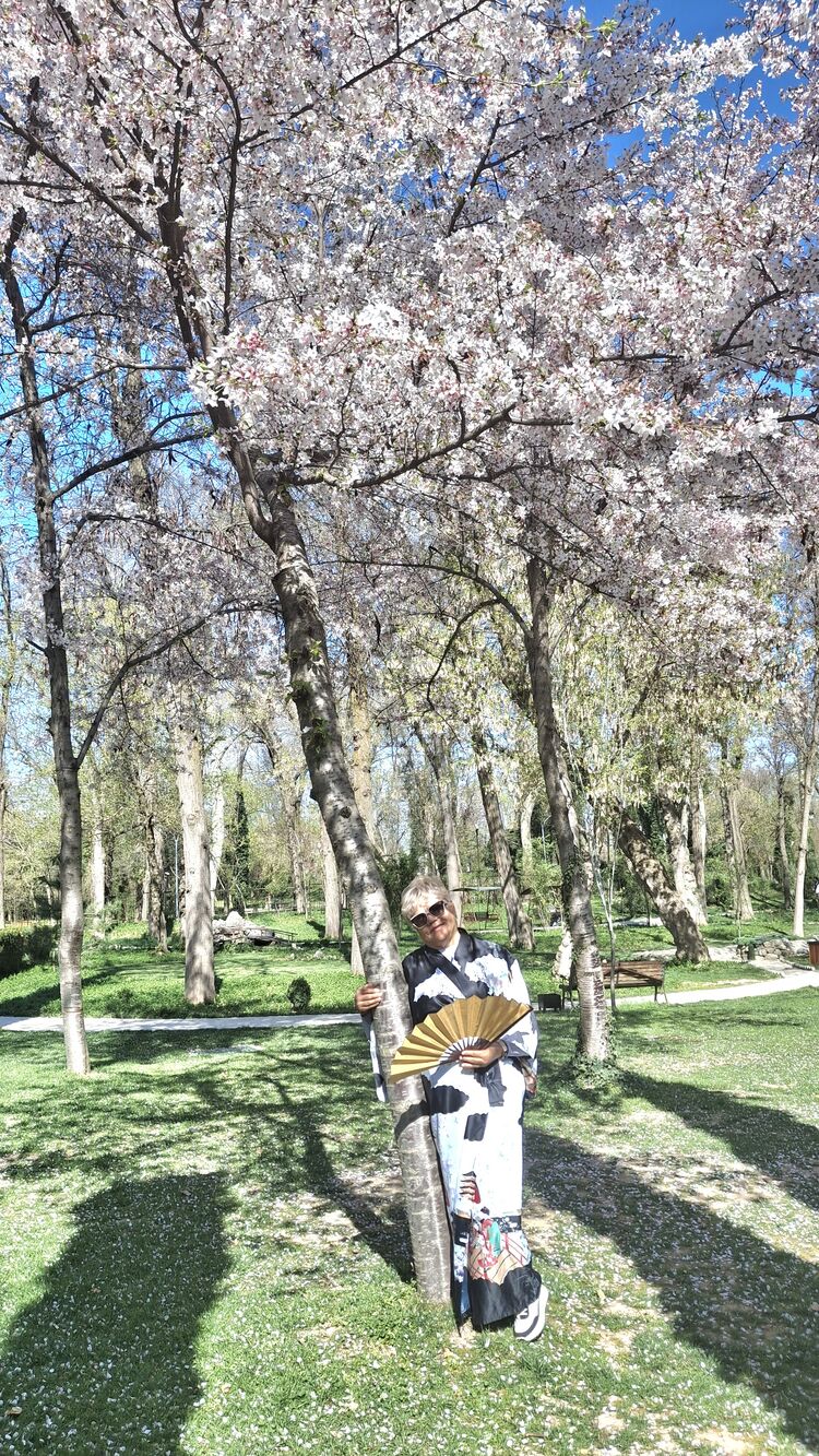 ���������� �������, ���� ������� �����, 66 ���, ������������ ��� c�������� ���������