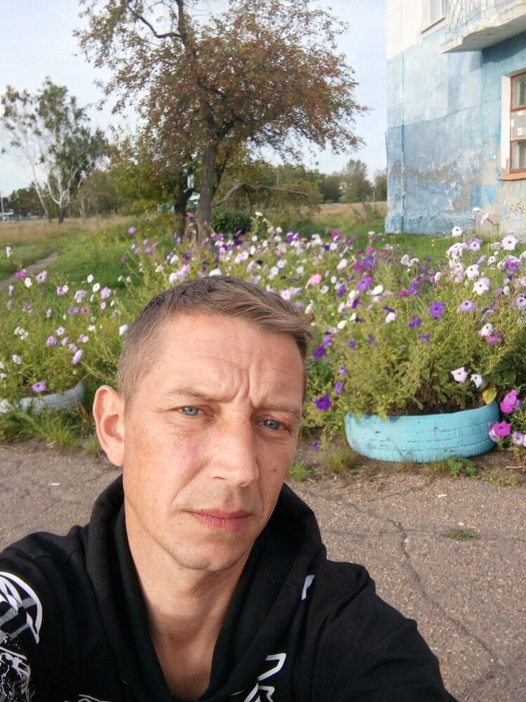  50436894  , 38 ,    -