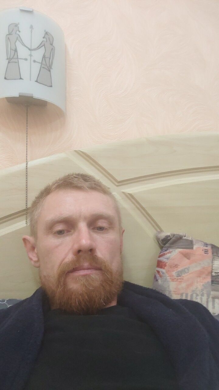  40564764   , 43 ,    