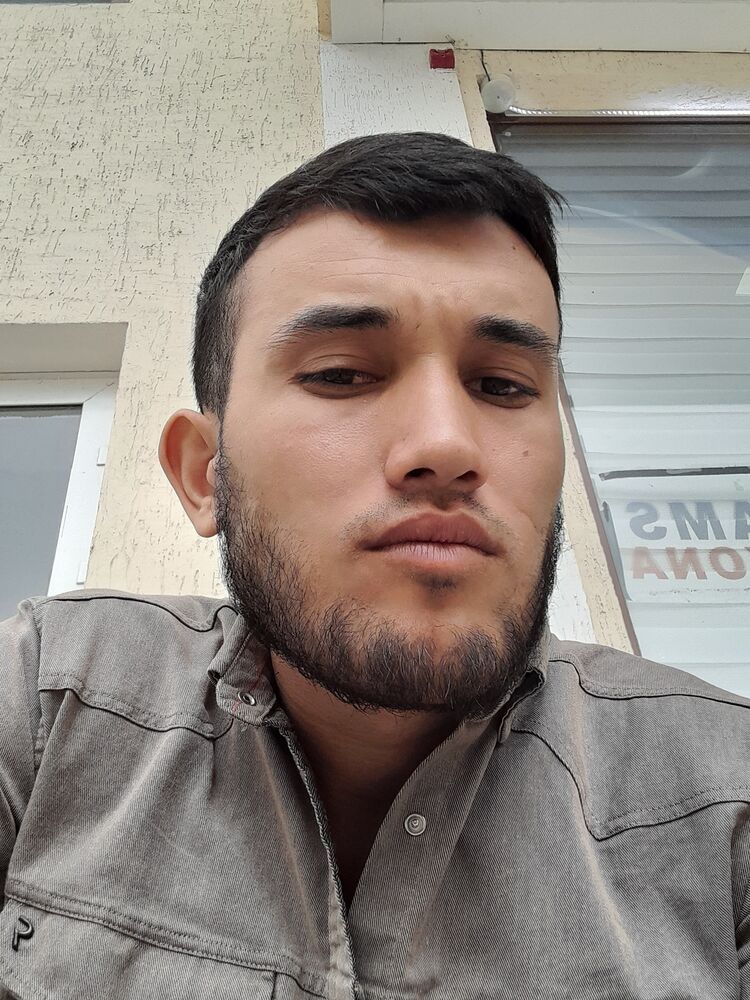  38958584  , 28 ,    
