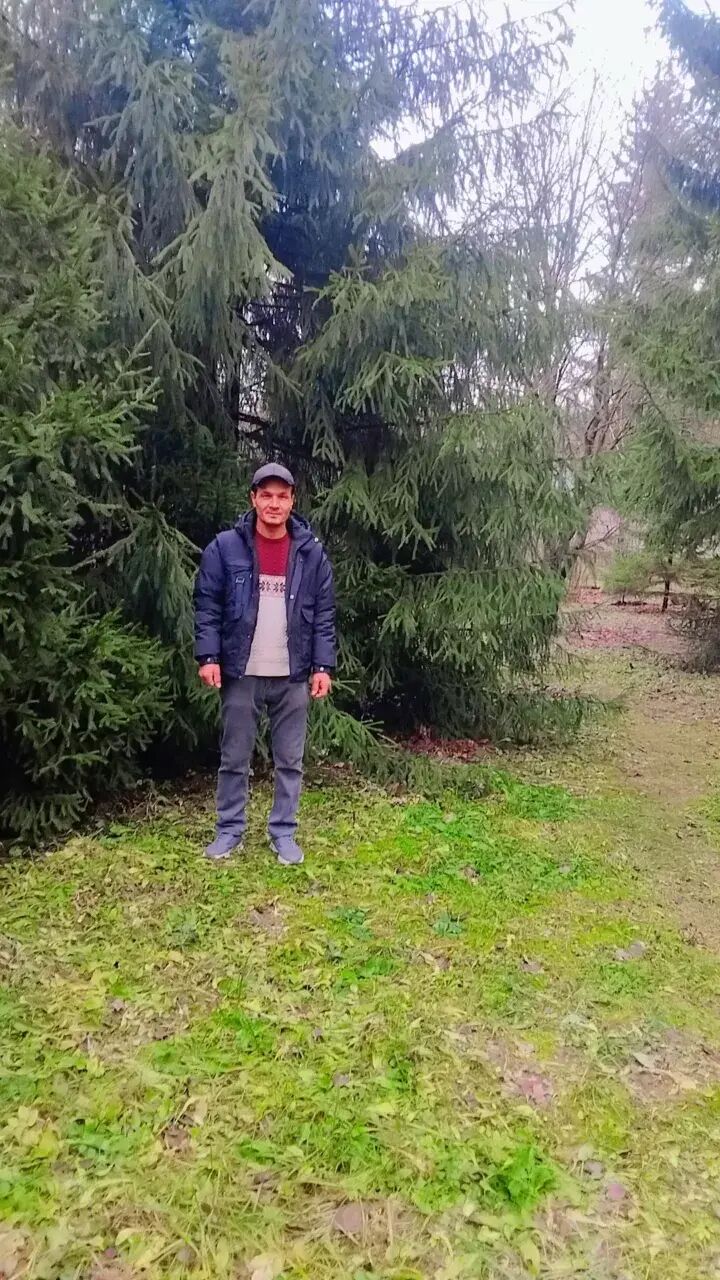 ���� 55254024 ������� ����, 43 ����, ���� ���������� � ��������