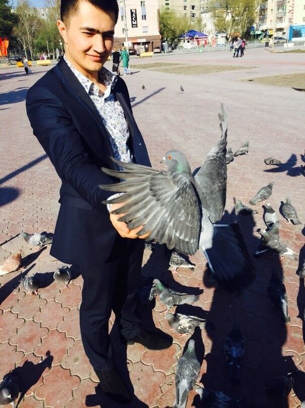 ���������� ������������, ���� ������� ������, 33 ����, ������������ ��� ������