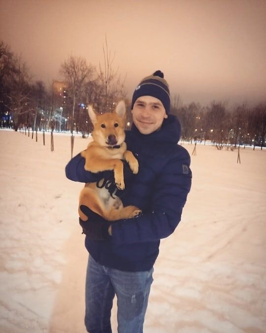 ���������� �����-���������, ���� ������� �����, 34 ����, ������������ ��� ������, ����� � ���������, c�������� ���������