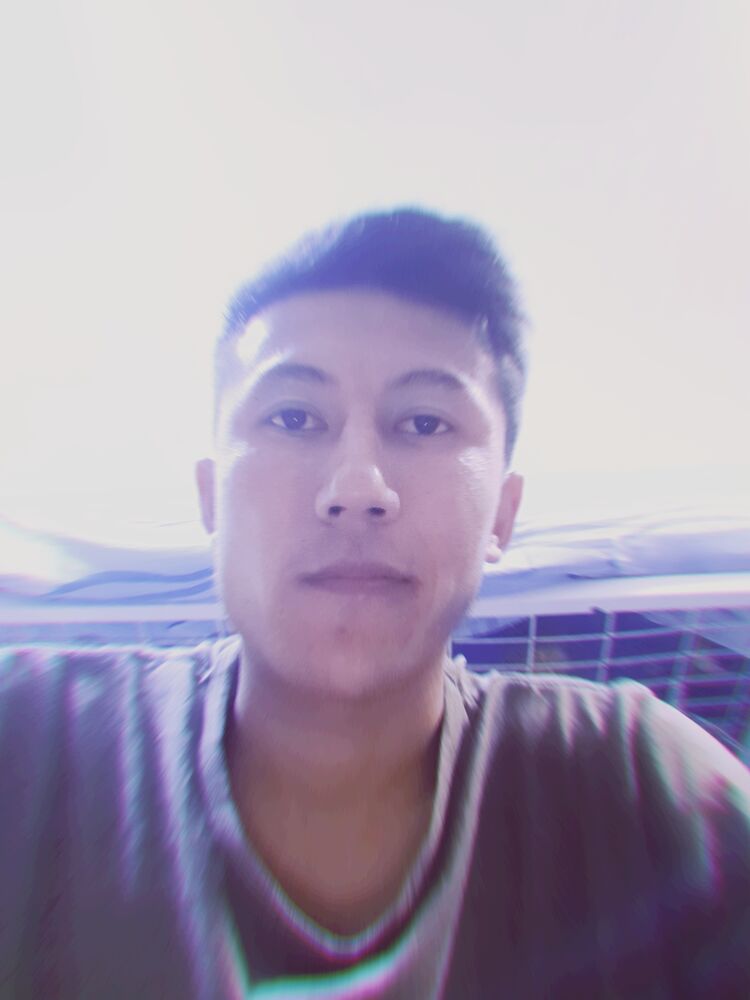  45396664  , 29 ,    