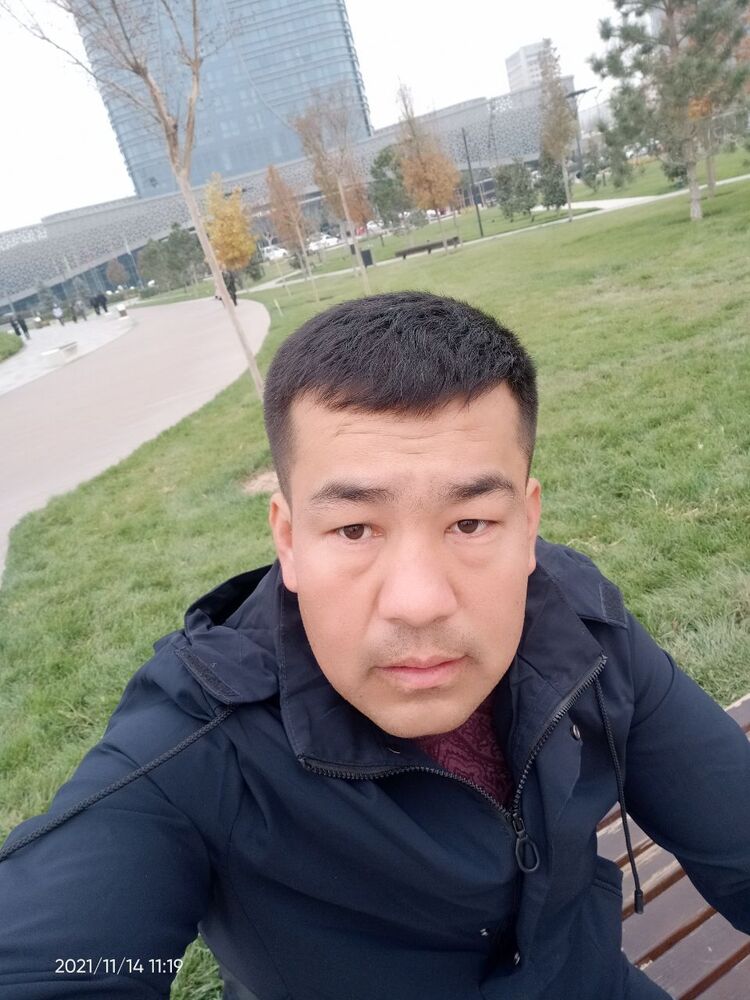  24545654  , 33 ,    