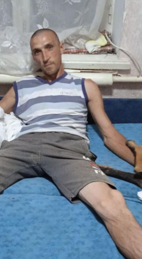 ���� 36131384 ������� �������, 36 ���, ���� ���������� � �����������